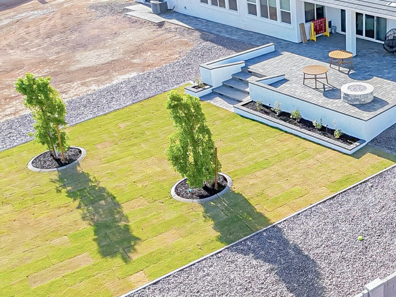 hardscaping-landscaping-services_sod